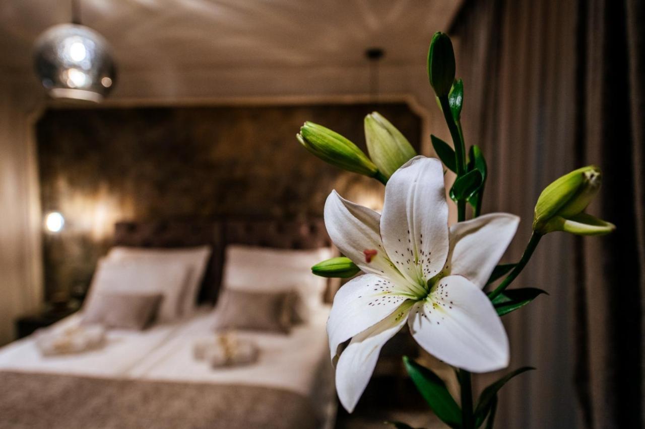 Luxury Rooms Vindemiae ซาดาร์ ภายนอก รูปภาพ